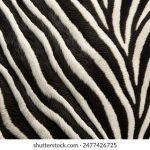 女生被摸下面 m86347