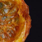 脱垂小说 n9rc93y54g