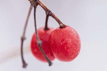 女生坐在男生大腿上