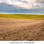 女生被男生插视频 u9h731y